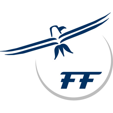 Logo Ferninstitut Falk